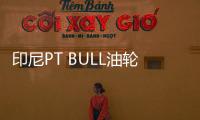 印尼PT BULL油輪船隊規(guī)模快速增長欲投資散貨船市場