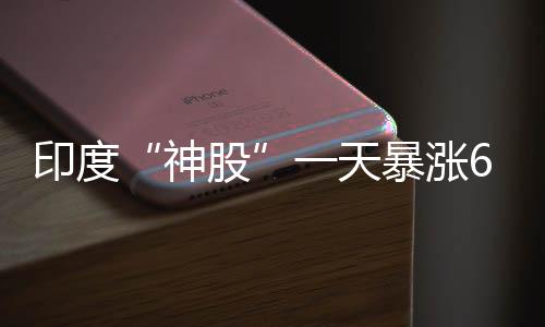 印度“神股”一天暴漲6692535%