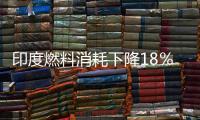 印度燃料消耗下降18％