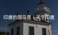 印度的國鳥是（關(guān)于印度的國鳥是的基本情況說明介紹）
