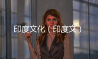 印度文化（印度文）