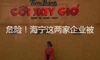 危險！海寧這兩家企業(yè)被點名，違規(guī)使用易燃材料搭建！