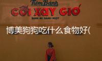 博美狗狗吃什么食物好(博美狗狗掉毛嚴重怎么辦)