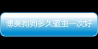 博美狗狗多久驅蟲一次好  博美狗狗多久驅蟲一次啊