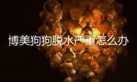 博美狗狗脫水嚴重怎么辦？博美犬脫水嚴重能救過來嗎