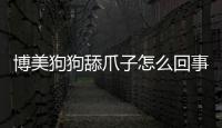 博美狗狗舔爪子怎么回事啊(博美狗狗舔爪子怎么回事兒)