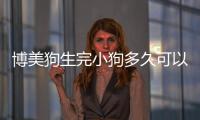 博美狗生完小狗多久可以洗澡(博美狗來(lái)月經(jīng)能洗澡不)
