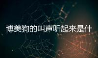 博美狗的叫聲聽起來是什么樣的？博美狗狗的叫聲錄音