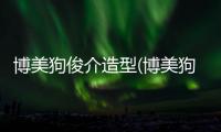 博美狗俊介造型(博美狗狗俊介造型)