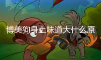 博美狗身上味道大什么原因引起的？博美狗身上味道大什么原因造成的