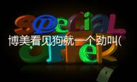 博美看見狗就一個勁叫(博美一看到別的狗就叫)