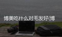 博美吃什么對毛發好(博美不能吃什么)