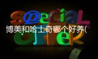 博美和哈士奇哪個(gè)好養(yǎng)(哈士奇和博美智商哪個(gè)高)