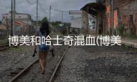 博美和哈士奇混血(博美哈士奇混血叫什么)
