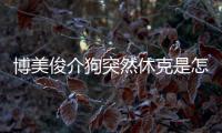 博美俊介狗突然休克是怎了？ 博美俊介狗