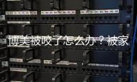 博美被咬了怎么辦？被家里養的博美咬出血了怎么辦