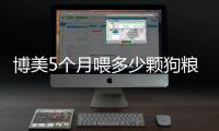 博美5個月喂多少顆狗糧合適(博美5個月喂多少顆狗糧正常)