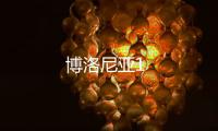 博洛尼亞1
