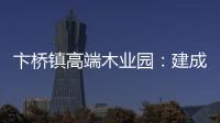 卞橋鎮高端木業園：建成可實現年產值500億元