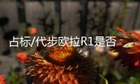占標/代步歐拉R1是否值得買？R2也快上市了