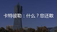 卡特彼勒：什么？您還敢用副廠件？