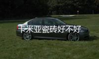 卡米亞瓷磚好不好