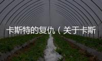 卡斯特的復仇（關于卡斯特的復仇的基本情況說明介紹）