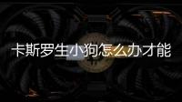 卡斯羅生小狗怎么辦才能養活？卡斯羅下崽前癥狀