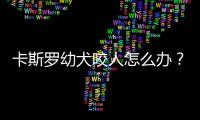卡斯羅幼犬咬人怎么辦？ 卡斯羅犬會亂咬人嗎