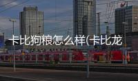 卡比狗糧怎么樣(卡比龍味道怎么樣)