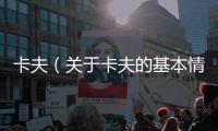 卡夫（關于卡夫的基本情況說明介紹）