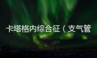 卡塔格內(nèi)綜合征（支氣管擴(kuò)張癥、副鼻竇炎和右位心三聯(lián)征）CT表現(xiàn)