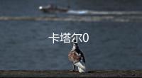 卡塔爾0