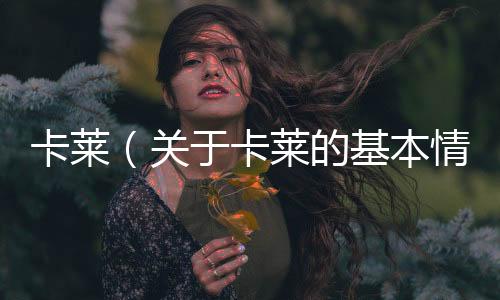 卡萊（關于卡萊的基本情況說明介紹）
