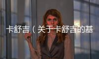 卡舒吉（關于卡舒吉的基本情況說明介紹）