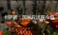 卡薩諾：國米應該在今夏賣掉塔雷米，阿瑙托維奇應該擔任第三前鋒
