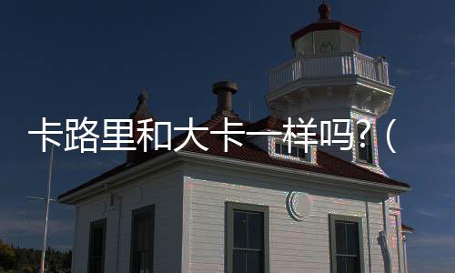 卡路里和大卡一樣嗎?（卡路里和大卡）