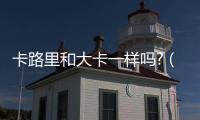 卡路里和大卡一樣嗎?（卡路里和大卡）