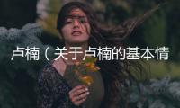 盧楠（關(guān)于盧楠的基本情況說(shuō)明介紹）