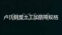 盧氏鋼塑土工加筋帶規格