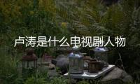 盧濤是什么電視劇人物