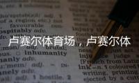 盧賽爾體育場，盧賽爾體育場