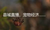 縣域直播、寵物經濟……小微經濟呈現八大新亮點