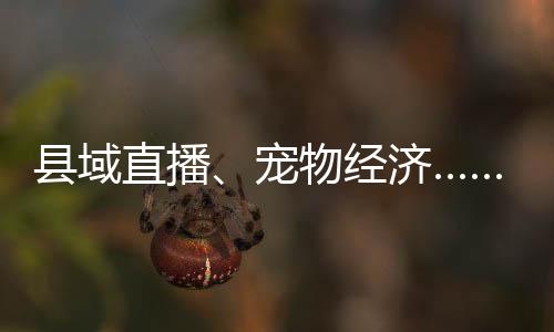 縣域直播、寵物經濟……小微經濟呈現八大新亮點