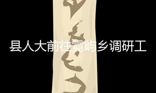 縣人大前往霓嶼鄉調研工作