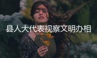縣人大代表視察文明辦相關(guān)工作