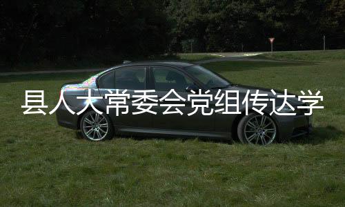 縣人大常委會(huì)黨組傳達(dá)學(xué)習(xí)十四屆全國(guó)人大一次會(huì)議精神