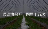 縣政協召開十四屆十五次常委會議