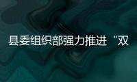 縣委組織部強力推進“雙招雙引”工作