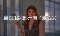 縣委組織部開展“愛心義工”活動